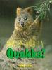 What_on_earth_is_a_quokka_