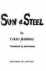 Sun___steel