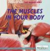 The_muscles_in_your_body