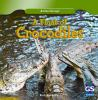 A_float_of_crocodiles