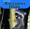Raccoons_in_the_dark