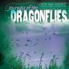 Journey_of_the_dragonflies
