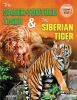 The_saber-toothed_tiger___the_Siberian_tiger