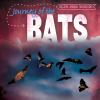 Journey_of_the_bats