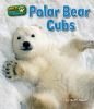 Polar_bear_cubs