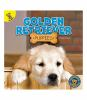 Golden_retriever_puppies