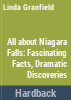 All_about_Niagara_Falls
