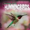 Journey_of_the_hummingbirds