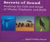 Secrets_of_sound