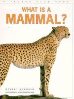 What_is_a_mammal_