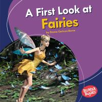 A_first_look_at_fairies
