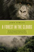 A_forest_in_the_clouds
