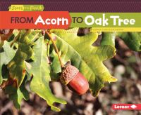 From_acorn_to_oak_tree
