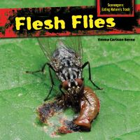 Flesh_flies