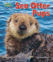 Sea_otter_pups