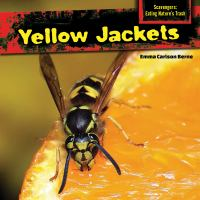 Yellow_jackets
